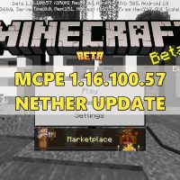 Скачать Minecraft PE 1.16.100.57