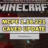 Скачать Minecraft PE 1.16.221